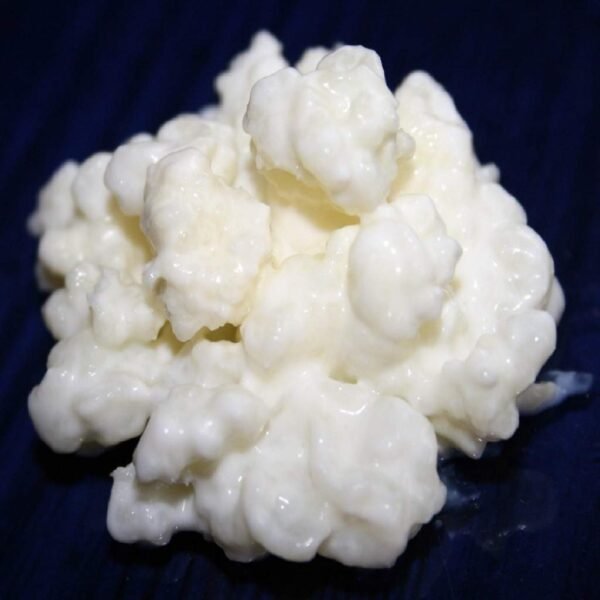 Kéfir de leche