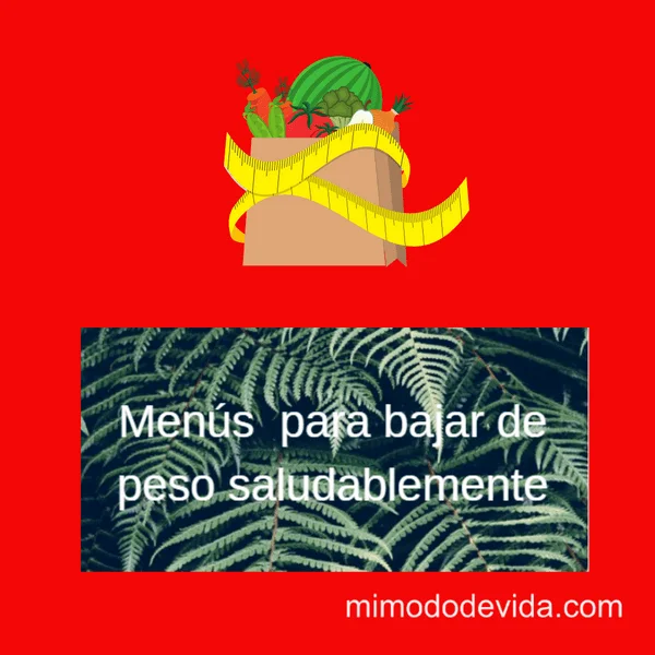 Menús saludables y nutritivos