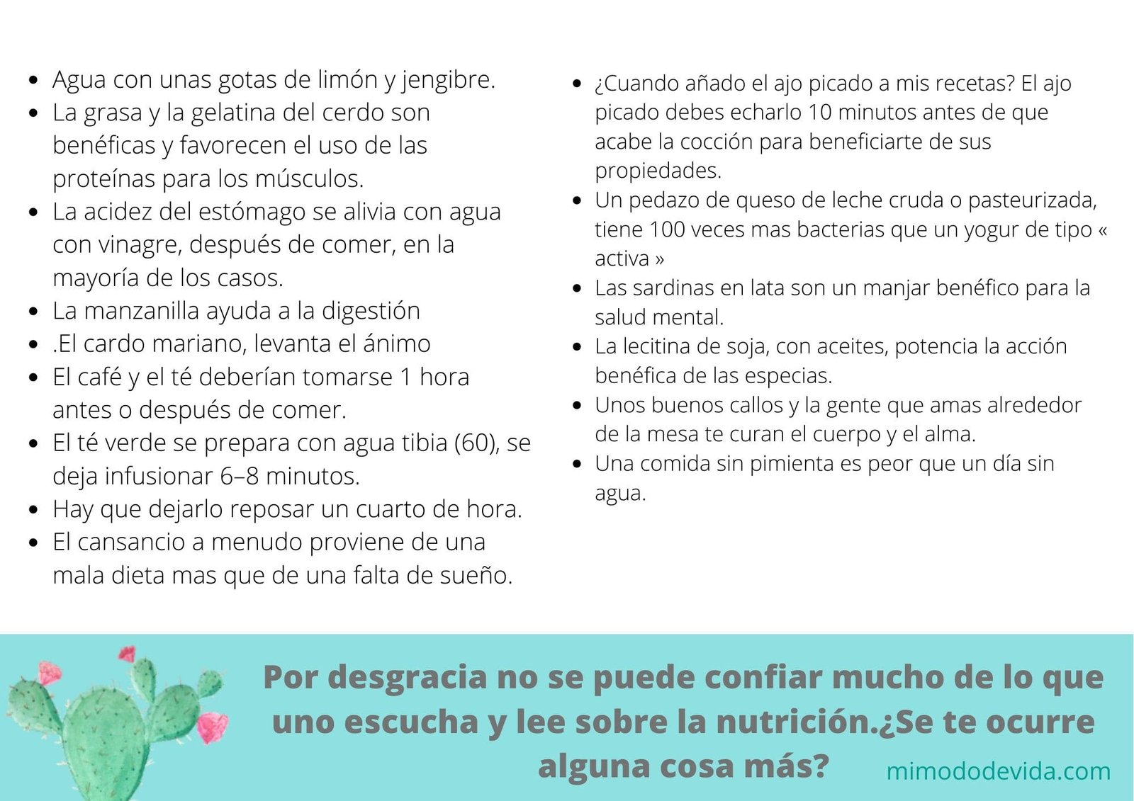 Cosas Que La Gente No Sabe Sobre Nutrición - MI MODO DE VIDA