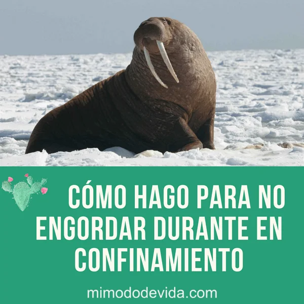 No engordar cuando estás en casa