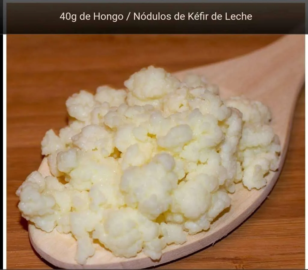 perlas de kefir