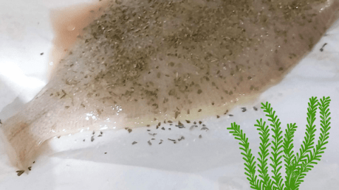Receta Gallos Cosori. Pescado sin aceite