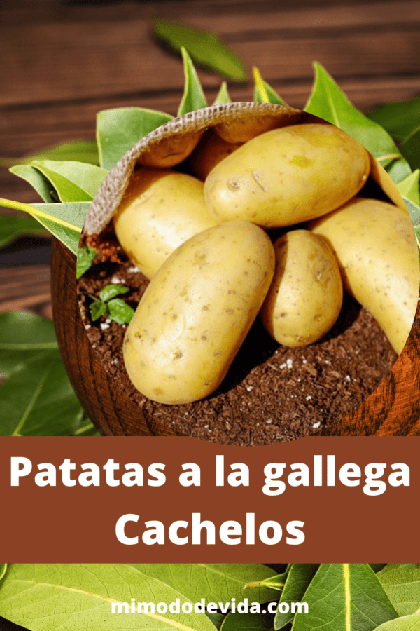 Receta Patatas gallegas, cachelos
