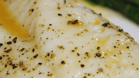 BACALAO mYCOOK