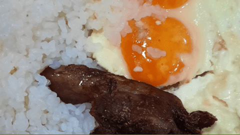Konjac