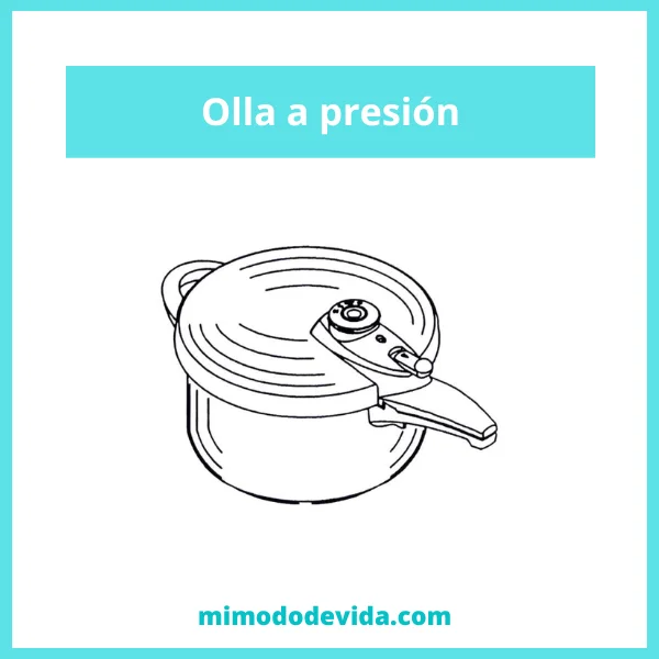 Olla express