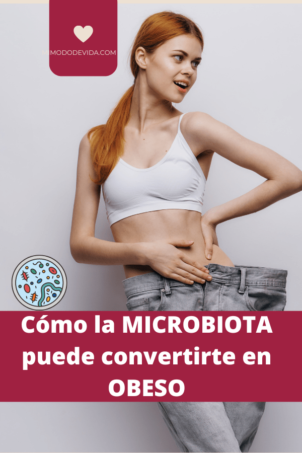 microbiota, bacterias y cerebro