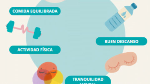 Adelgazar sin dieta gracias a buenos hábitos