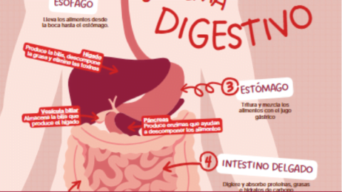 Cómo hacer una Dieta FODMAPS para el SIBO