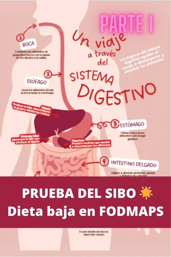 Cómo hacer una Dieta FODMAPS para el SIBO
