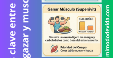 Dietas según tus necesidades